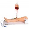 BONE MARROW PUNCTURE & FEMORAL VENIPUNCTURE SIMULATOR (SOFT)